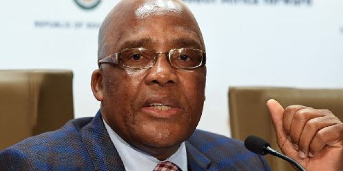 Minister Motsoaledi’s Decision To End ZEP permits ruled Invalid and Unconstitutional