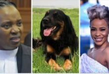 Zandile's Dog Naming Spark Backlash