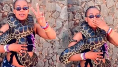 Zodwa Wabantu shows off her new snake