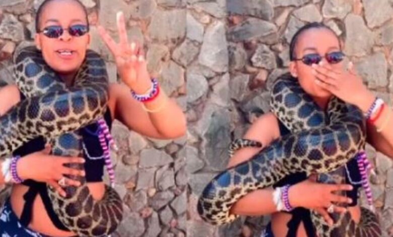 Zodwa Wabantu shows off her new snake