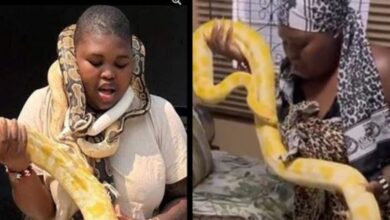 Gogo Maweni Spend Some Quality Time With Her Besties, Her Snakes