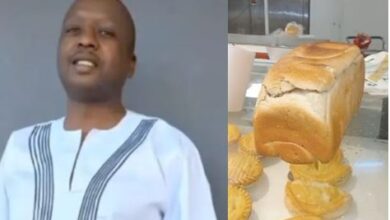 Man Disgusts Mzansi With TikTok Video of a Cockroach Running Into Baked Bread at Shop