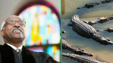 "You don't test God that way" : SA Unhappy As Prophet Attacked by Crocodiles During Prayer Session