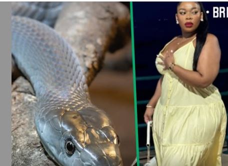 Lady Shares Story of ‘Sleeping’ With Black Mamba to Maintain Wealth