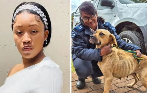 Influencer Charged After Abused Dog Bobby Rescued by NSPCA