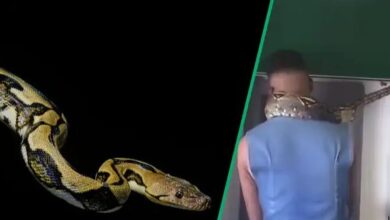 Man With Snake at ATM in Video Sparks Speculations: “It’s Why He Has Money”