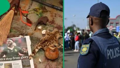 Traditional Healers Arrested for 2023 Murder, SA Furious As Mozambican Found With Deceased’s Organs 