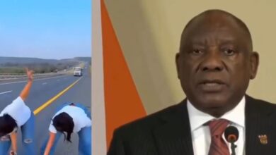 South African President ordered immediate arrest of twerking lady.