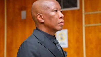 Julius Malema Defence Team Begs For Mercy - Video