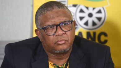 ‘Refer employers to me’: Mbalula calls for end to experience requirements for entry-level jobs