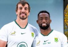 Top 3 highest-paid local Springboks and how much they earn